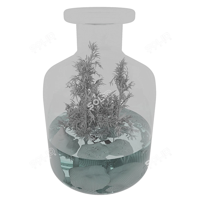 Natural Greenery Terrarium Set 3D model image 4