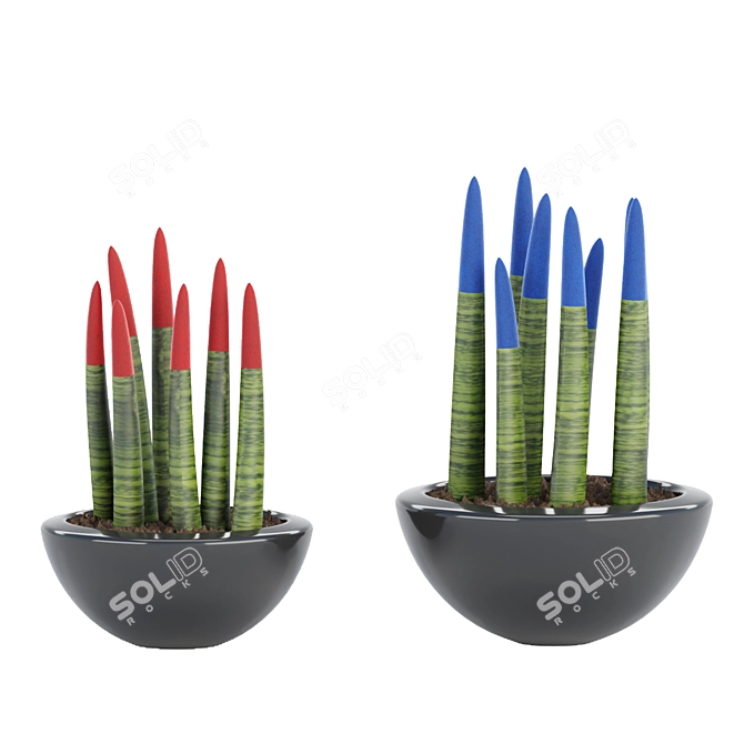 70 Sansevieria Plants Collection: High-Quality 3D Models! 3D model image 3