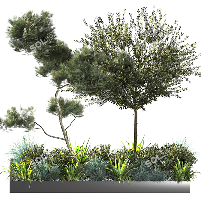 Outdoor Plant 09: VRAY Version 3D model image 2