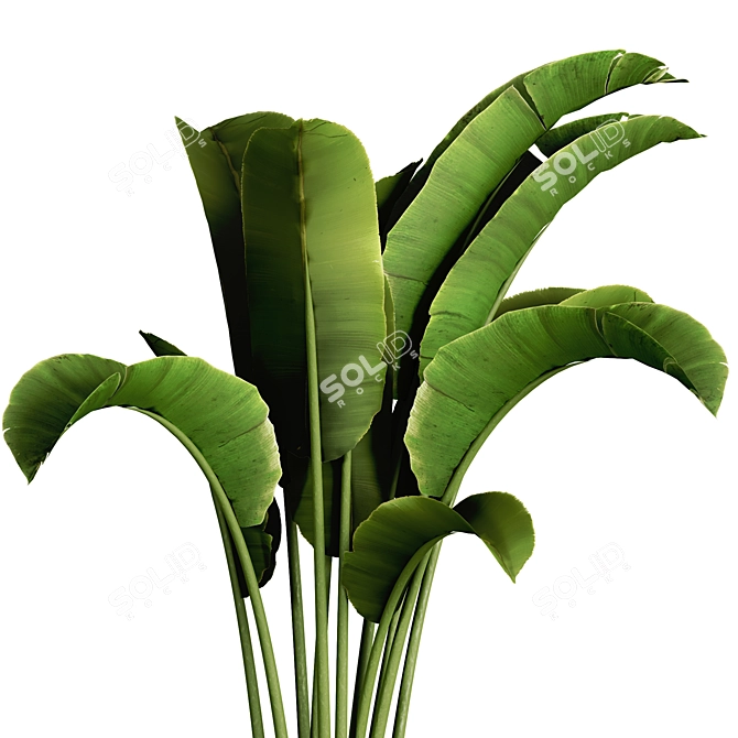 3D Plant Model 2015 - 7 Parts 3D model image 2