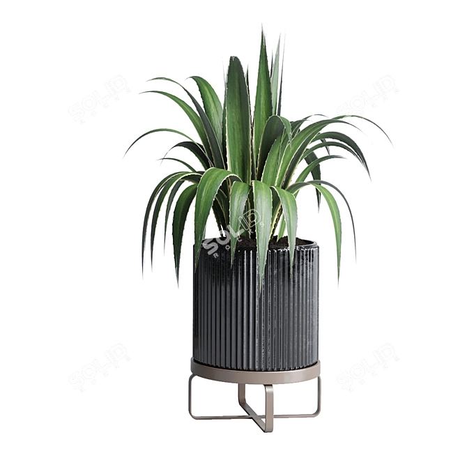 183 Plant Collection: Ficus Lyrata, Monstera, Palm - Perfect Indoor Greenery 3D model image 5