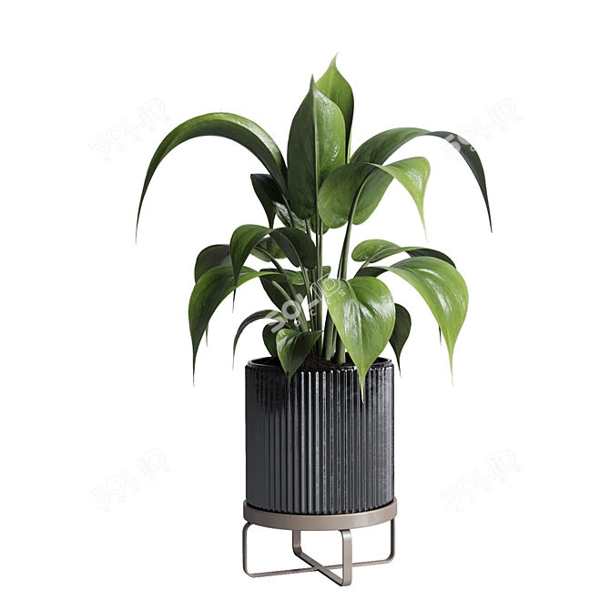 183 Plant Collection: Ficus Lyrata, Monstera, Palm - Perfect Indoor Greenery 3D model image 6