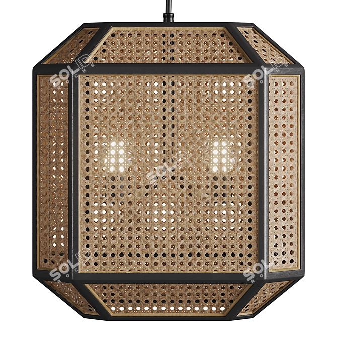 Georgia Woven Cane Pendant: Rustic Elegance for Every Space 3D model image 2