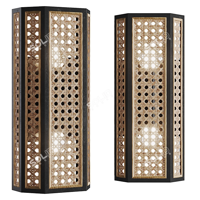 Woven Cane Wall Sconce: GEORGIA 3D model image 1