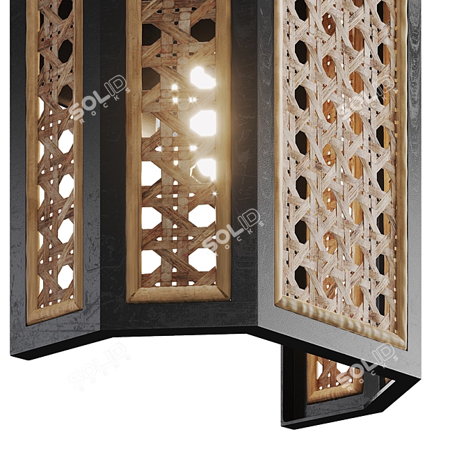 Woven Cane Wall Sconce: GEORGIA 3D model image 2