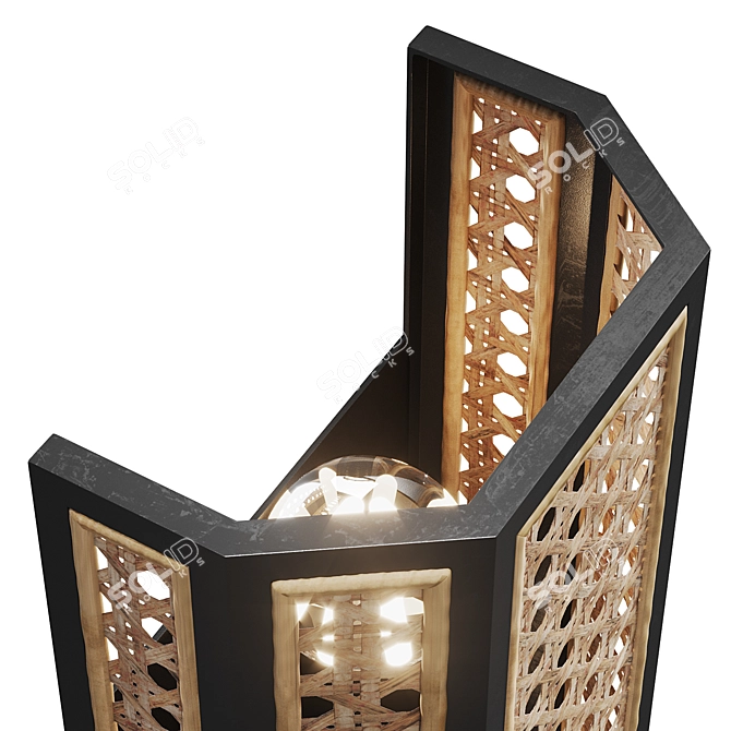 Woven Cane Wall Sconce: GEORGIA 3D model image 3