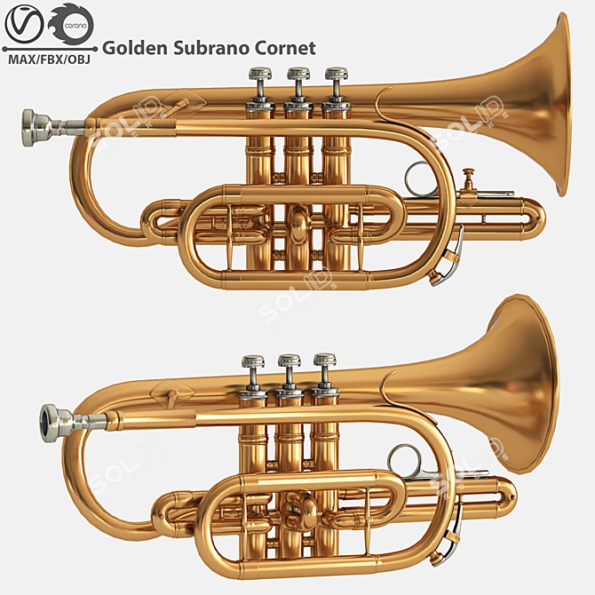 Gilded Subrano Brass Instrument 3D model image 1