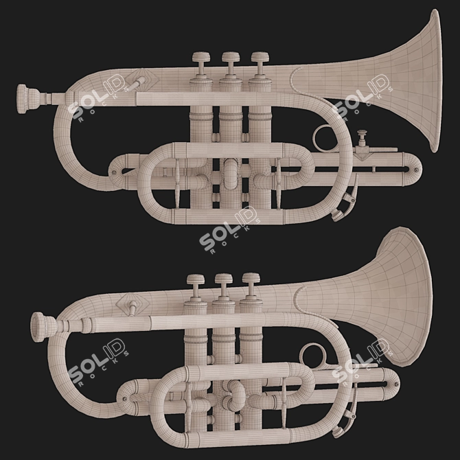 Gilded Subrano Brass Instrument 3D model image 2