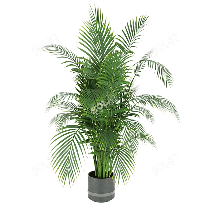 Indoor Palm Leaf - Collection Plant Vol 307 3D model image 2
