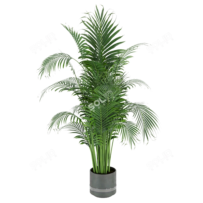 Indoor Palm Leaf - Collection Plant Vol 307 3D model image 6