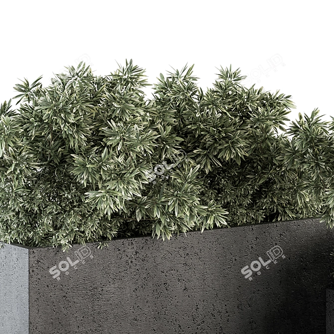 Black Outdoor Plant Box Set 3D model image 2