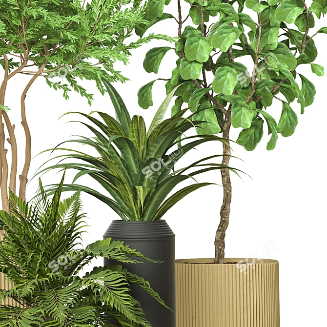 Indoor Plant Vol 35: Realistic 3D Model 3D model image 3