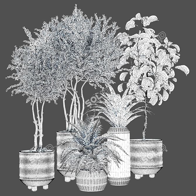 Indoor Plant Vol 35: Realistic 3D Model 3D model image 4