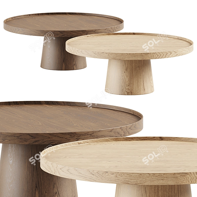 PINCH Rodan Coffee Table: Natural Elegance 3D model image 1