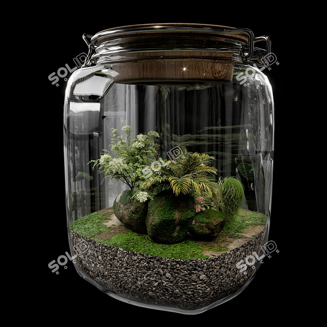 Exquisite Terrarium Plant Assortment 3D model image 3