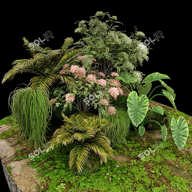 Exquisite Terrarium Plant Assortment 3D model image 4