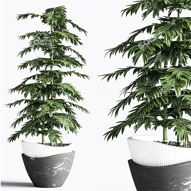 Indoor Plant Set: Green Oasis 3D model image 3