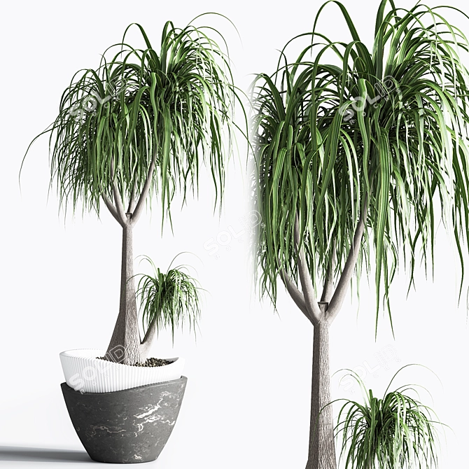 Indoor Plant Set: Green Oasis 3D model image 4