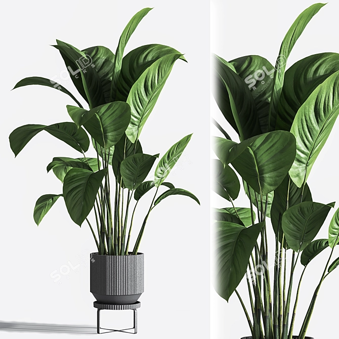 Title: Gorgeous 24-Piece Indoor Plant Set 3D model image 2