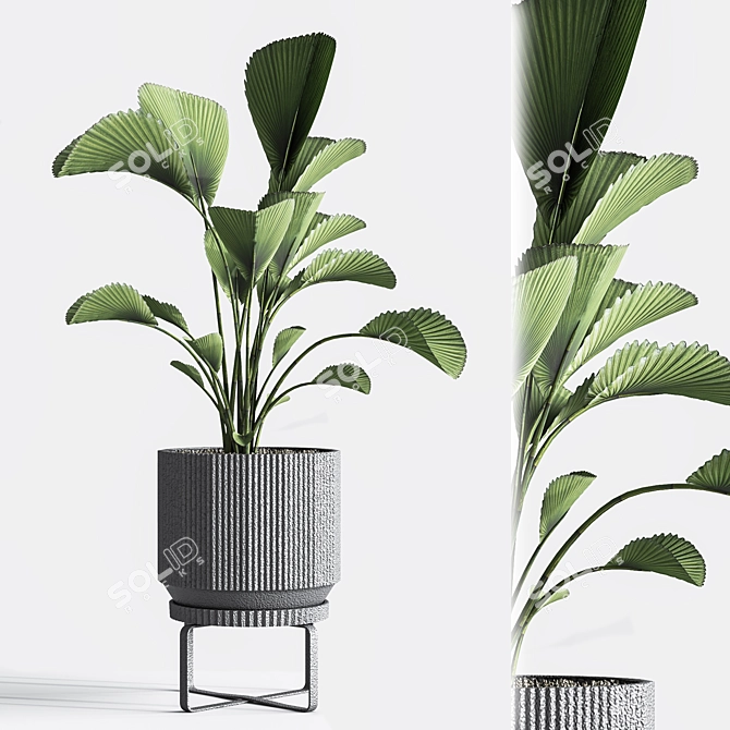 Title: Gorgeous 24-Piece Indoor Plant Set 3D model image 6