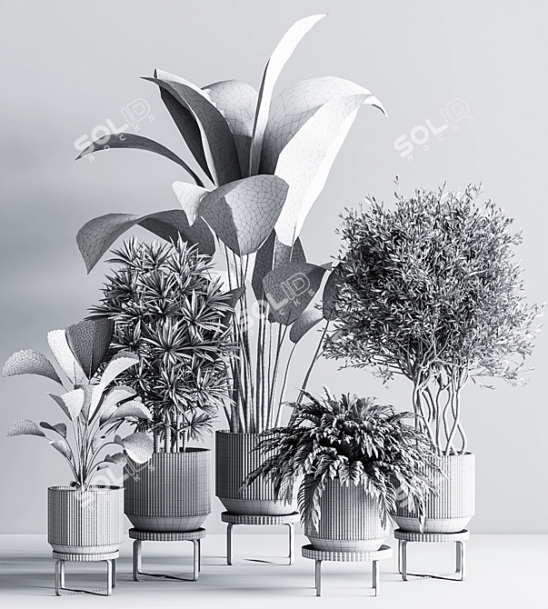 Title: Gorgeous 24-Piece Indoor Plant Set 3D model image 9
