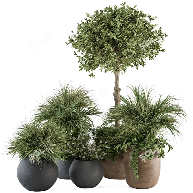 342-Piece Indoor Plant Set 3D model image 1