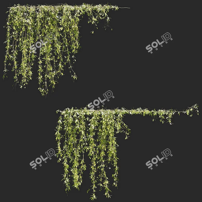 Evergreen Ivy 16 3D model image 1