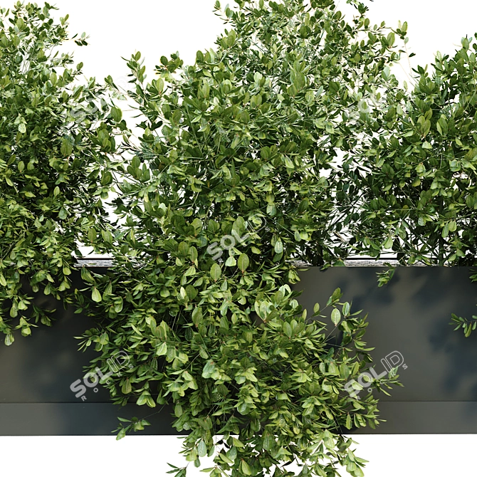 Green Oasis: Interior Plant Box Set 3D model image 3