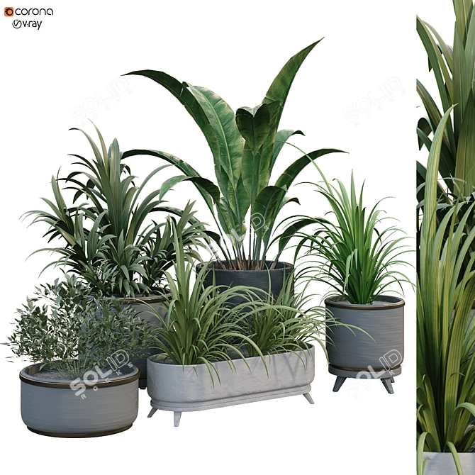 Boxed Interior Plant Set 3D model image 1