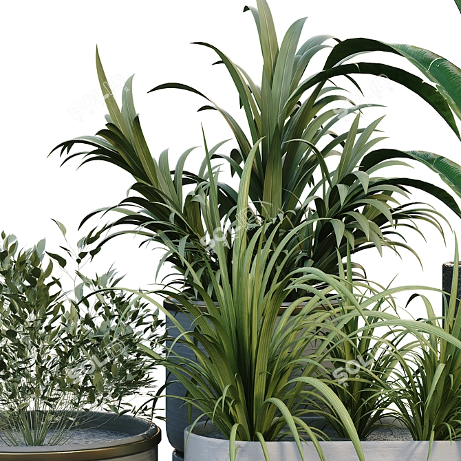 Boxed Interior Plant Set 3D model image 3