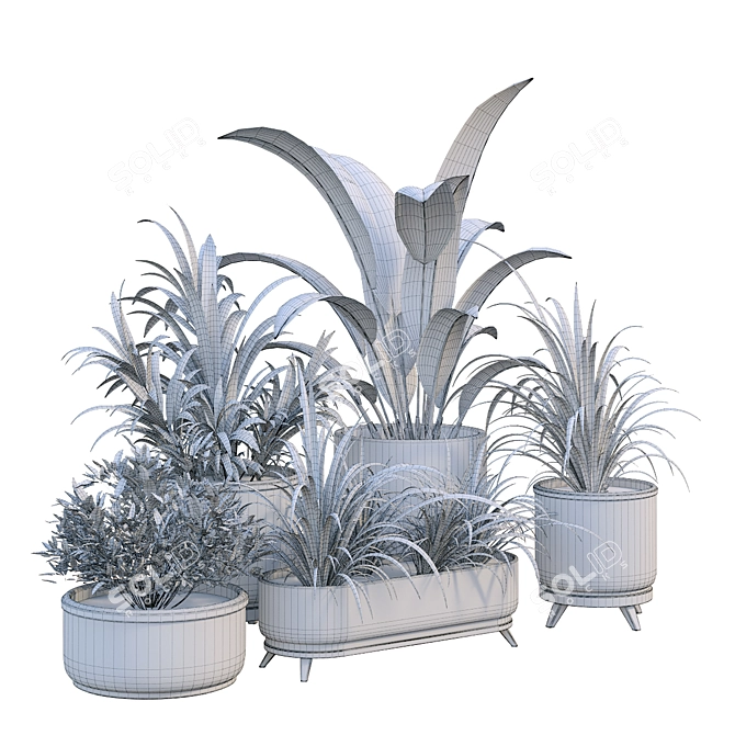 Boxed Interior Plant Set 3D model image 6