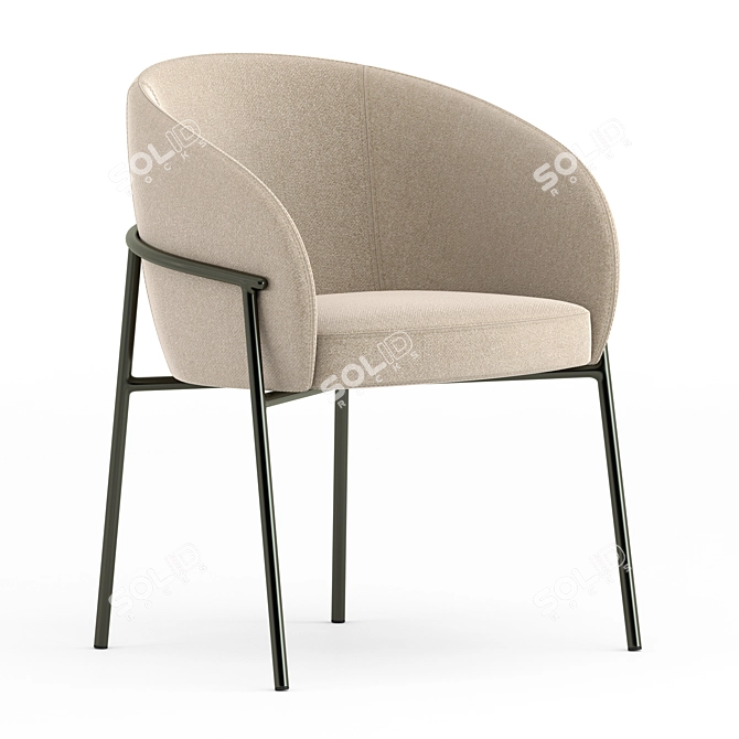 Rimo Chair: Elegant and Functional 3D model image 1