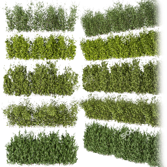 Leafy Collection: Volume 309 Bush 3D model image 1