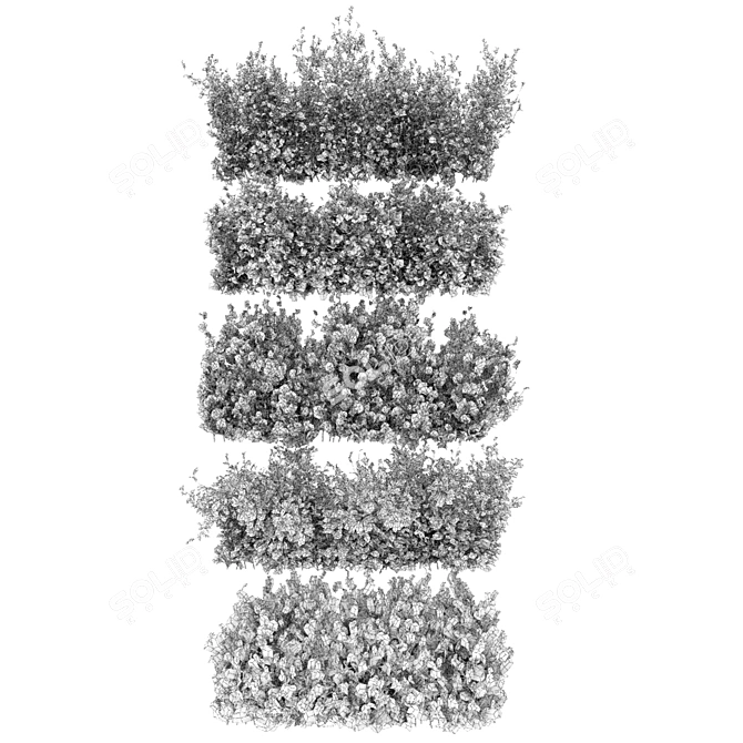 Leafy Collection: Volume 309 Bush 3D model image 7