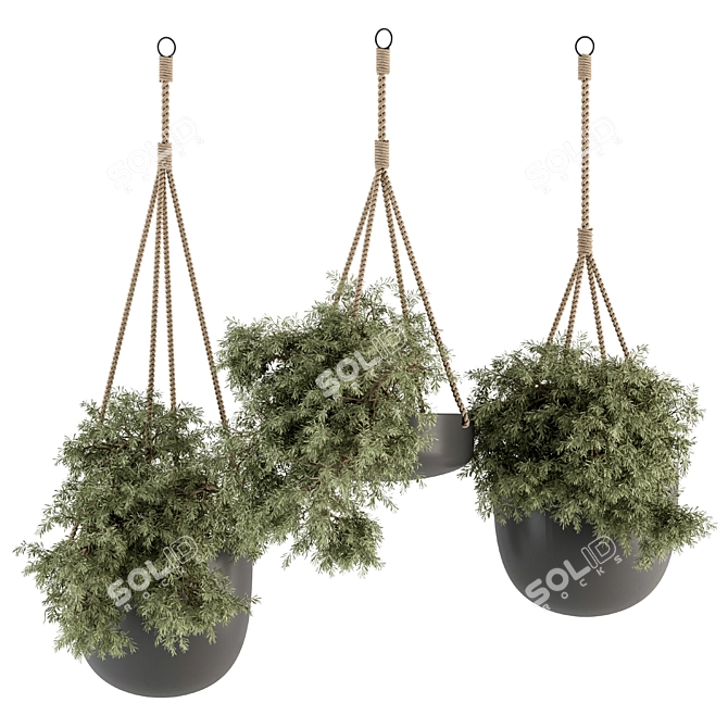 Hanging Plant Set with Rope 3D model image 1