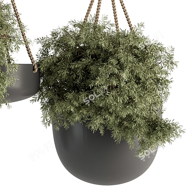 Hanging Plant Set with Rope 3D model image 2