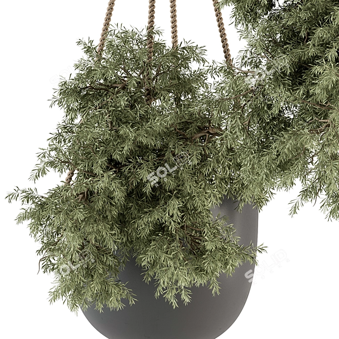 Hanging Plant Set with Rope 3D model image 3