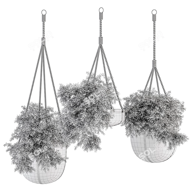 Hanging Plant Set with Rope 3D model image 4