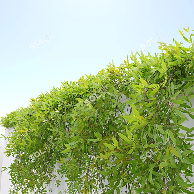 Leafy Cascade Hanging Plant 3D model image 2