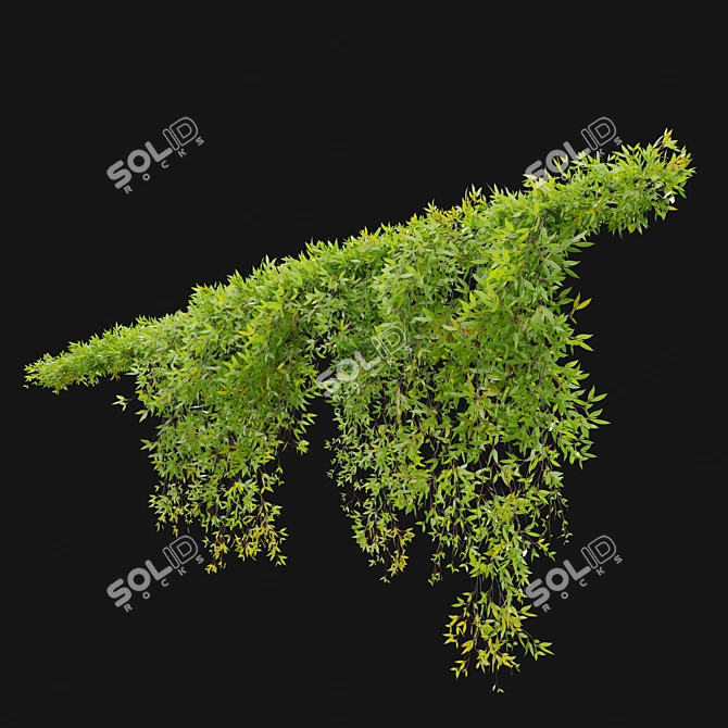 Leafy Cascade Hanging Plant 3D model image 3