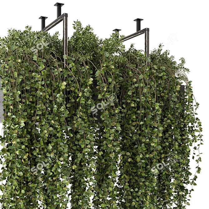 Elegant Hanging Greenery in Metal Box 3D model image 2