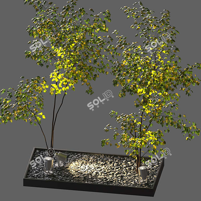 Backyard Oasis: Gravel, Stone, Spotlight, Plant 3D model image 2