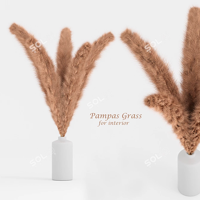 Elegant Pampas Grass Decor 3D model image 1