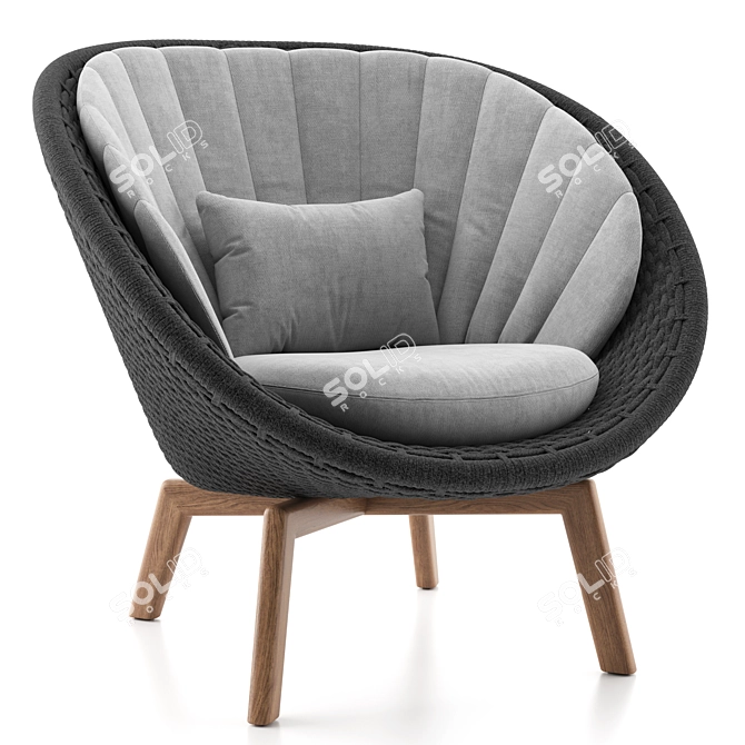 Danish Design Peacock Lounge Chair 3D model image 4