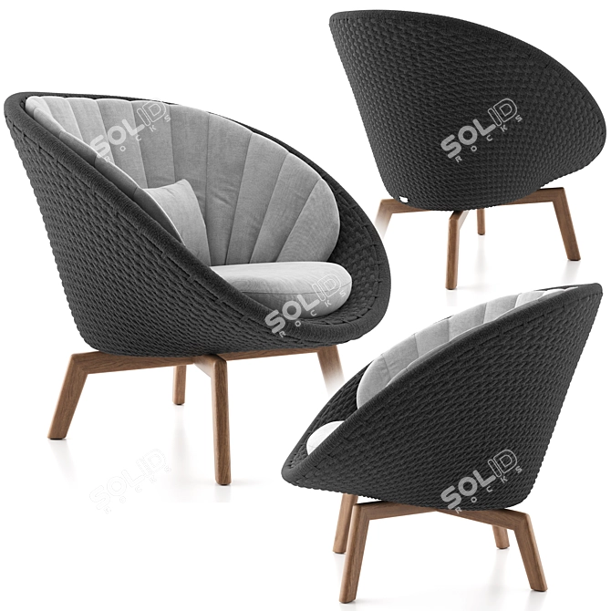 Danish Design Peacock Lounge Chair 3D model image 6