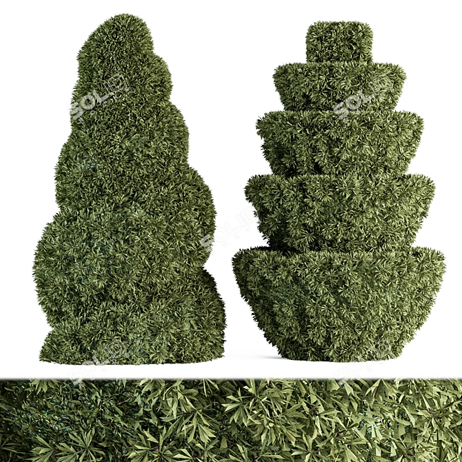 Elegant Topiary Bush Set 3D model image 1