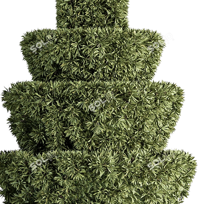 Elegant Topiary Bush Set 3D model image 2