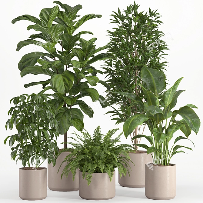Lush Indoor Plant Set 016 3D model image 1