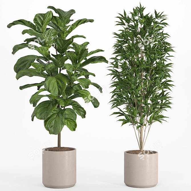 Lush Indoor Plant Set 016 3D model image 2