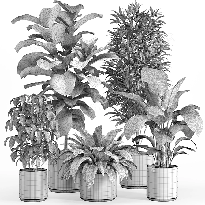 Lush Indoor Plant Set 016 3D model image 4